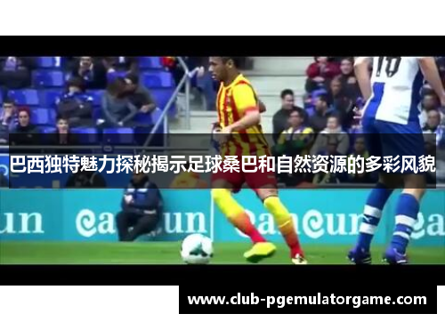 巴西独特魅力探秘揭示足球桑巴和自然资源的多彩风貌