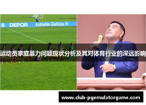 运动员家庭暴力问题现状分析及其对体育行业的深远影响